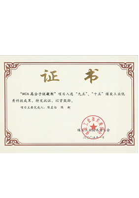 2005年1月MCA高分子促凝劑獲“九五、十五”科技成果獎