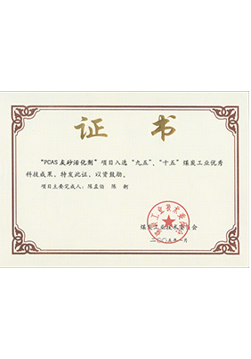 2005年1月PCAS灰砂活化劑獲“九五、十五”科技成果獎